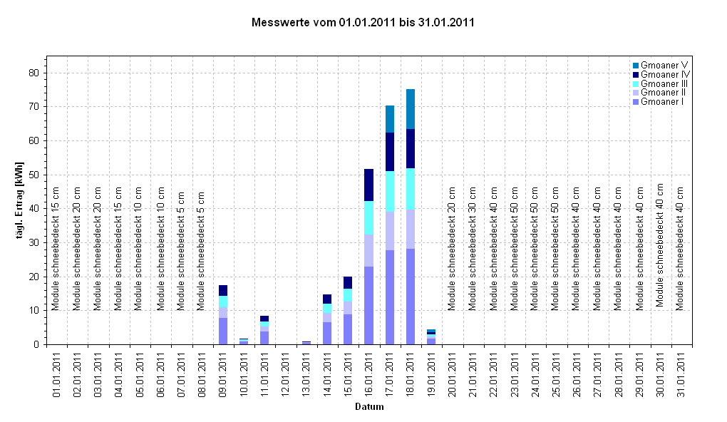 Diagramm Messwerte vom 01.01.2011 bis 31.01.2011      